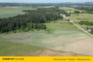 Działka na sprzedaż 39500m2 kielecki Chęciny Ostrów - zdjęcie 2