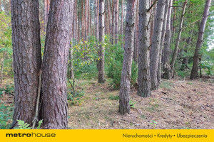 Działka na sprzedaż 130394m2 bialski Janów Podlaski Klonownica Mała - zdjęcie 3