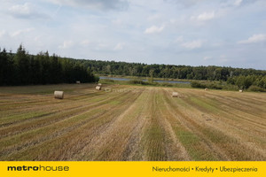 Działka na sprzedaż 9421m2 poznański Stęszew Wielka Wieś Bukowska - zdjęcie 3