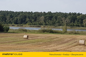 Działka na sprzedaż 20068m2 poznański Stęszew Wielka Wieś Bukowska - zdjęcie 2