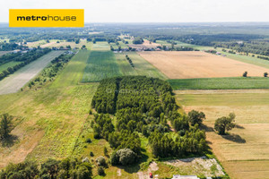 Działka na sprzedaż zgierski Aleksandrów Łódzki Ruda-Bugaj Herbaciana - zdjęcie 1