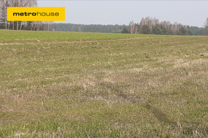 Działka na sprzedaż 2000m2 siedlecki Domanice Olszyc Szlachecki - zdjęcie 1