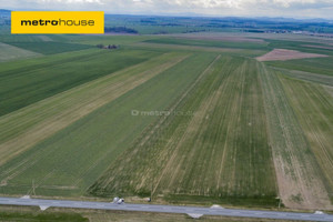 Działka na sprzedaż 5000m2 średzki Kostomłoty Jenkowice - zdjęcie 1