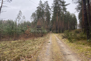 Działka na sprzedaż 8802m2 olsztyński Purda Zaborowo - zdjęcie 3