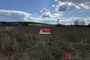 Działka na sprzedaż 27857m2 oleśnicki Oleśnica Ostrowina - zdjęcie 4