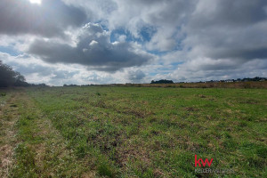 Działka na sprzedaż 3490m2 gliwicki Gierałtowice Przyszowice - zdjęcie 4