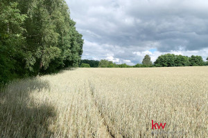 Działka na sprzedaż 27328m2 Poznań Morasko-Radojewo Poligonowa - zdjęcie 2