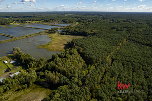 Działka na sprzedaż 7201m2 nowotomyski Miedzichowo Trzciel-Odbudowa - zdjęcie 3