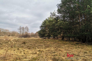 Działka na sprzedaż 9715m2 trzebnicki Zawonia Czeszów - zdjęcie 3