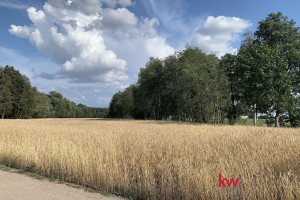 Działka na sprzedaż 3245m2 wągrowiecki Skoki Łosiniec - zdjęcie 2