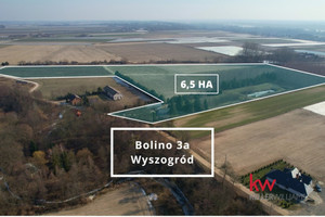 Działka na sprzedaż 61300m2 płocki Wyszogród Bolino - zdjęcie 1