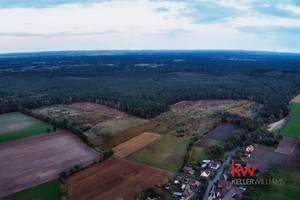 Działka na sprzedaż 160200m2 milicki Milicz Borzynowo - zdjęcie 3