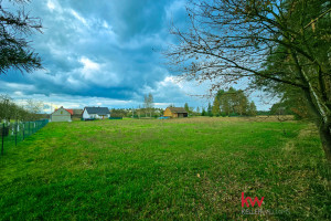 Działka na sprzedaż 4989m2 milicki Krośnice Łazy Wielkie - zdjęcie 3