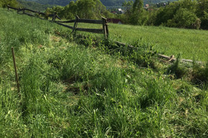 Działka na sprzedaż 2000m2 żywiecki Świnna Rychwałdek Pod Barutką - zdjęcie 4