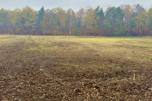 Działka na sprzedaż 700m2 mikołowski Orzesze Pasieki - zdjęcie 1