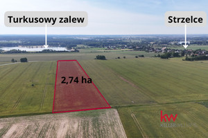 Działka na sprzedaż 27400m2 oleśnicki Dobroszyce Strzelce - zdjęcie 1