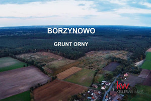 Działka na sprzedaż 160200m2 milicki Milicz Borzynowo - zdjęcie 1