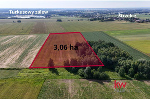 Działka na sprzedaż 30659m2 oleśnicki Dobroszyce Strzelce Strzelce - zdjęcie 1