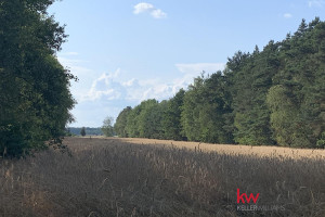 Działka na sprzedaż 3245m2 wągrowiecki Skoki Łosiniec - zdjęcie 1