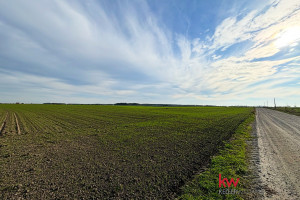 Działka na sprzedaż 1200m2 poznański Kórnik Czołowo - zdjęcie 2