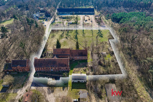 Działka na sprzedaż 10900m2 jarociński Jaraczewo Góra - zdjęcie 1