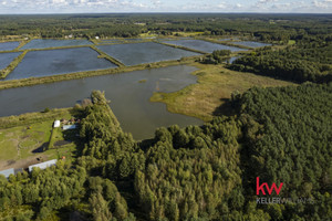 Działka na sprzedaż 7201m2 nowotomyski Miedzichowo Trzciel-Odbudowa - zdjęcie 1