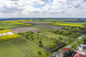 Działka na sprzedaż 16133m2 oławski Oława Stanowice - zdjęcie 3