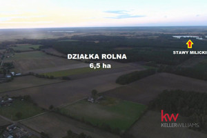 Działka na sprzedaż 65000m2 milicki Milicz Borzynowo - zdjęcie 1