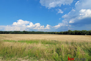 Działka na sprzedaż 860m2 szamotulski Duszniki Grzebienisko Miodowa - zdjęcie 3