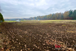 Działka na sprzedaż 700m2 mikołowski Orzesze Pasieki - zdjęcie 3