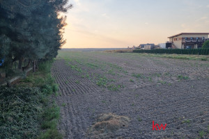 Działka na sprzedaż 1536m2 średzki Krzykosy Garby - zdjęcie 3