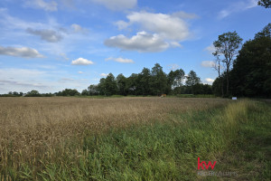 Działka na sprzedaż 1800m2 oławski Jelcz-Laskowice Grędzina - zdjęcie 1