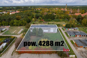 Działka na sprzedaż 4288m2 międzyrzecki Międzyrzecz - zdjęcie 3