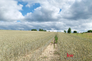 Działka na sprzedaż 27328m2 Poznań Morasko-Radojewo Poligonowa - zdjęcie 3