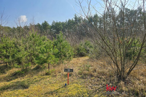 Działka na sprzedaż 1267m2 oleśnicki Twardogóra Drogoszowice - zdjęcie 2