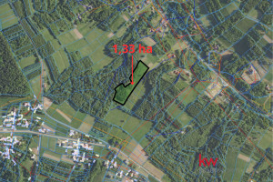 Działka na sprzedaż 13300m2 strzyżowski Niebylec Gwoźnica Górna - zdjęcie 3