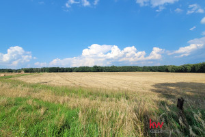 Działka na sprzedaż 860m2 szamotulski Duszniki Grzebienisko Miodowa - zdjęcie 2