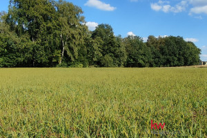 Działka na sprzedaż 4127m2 bielski Czechowice-Dziedzice Katowicka - zdjęcie 1