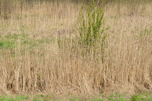 Działka na sprzedaż 2045m2 węgrowski Łochów Laskowska - zdjęcie 3