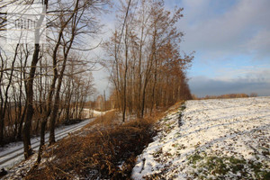 Działka na sprzedaż 4100m2 dębicki Pilzno Łęki Dolne - zdjęcie 2