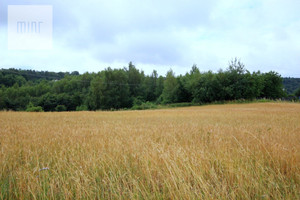 Działka na sprzedaż 6800m2 dębicki Dębica Podgrodzie - zdjęcie 2