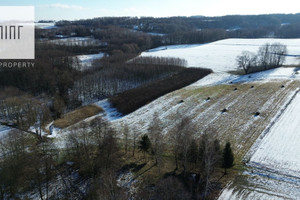 Działka na sprzedaż 11374m2 dębicki Pilzno Łęki Dolne - zdjęcie 2