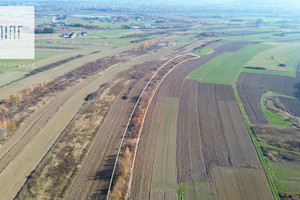 Działka na sprzedaż 11300m2 dębicki Czarna Grabiny - zdjęcie 3