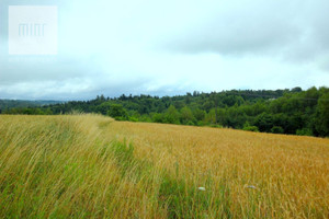 Działka na sprzedaż 6800m2 dębicki Dębica Podgrodzie - zdjęcie 1