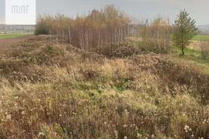 Działka na sprzedaż 1000m2 jasielski Tarnowiec Brzezówka - zdjęcie 3