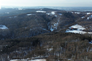 Działka na sprzedaż 82900m2 dębicki Pilzno Gębiczyna - zdjęcie 2