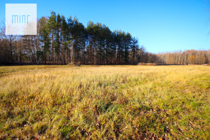 Działka na sprzedaż 989m2 ropczycko-sędziszowski Sędziszów Małopolski Borek Wielki - zdjęcie 1