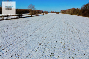 Działka na sprzedaż 11266m2 ropczycko-sędziszowski Sędziszów Małopolski Borek Wielki - zdjęcie 2