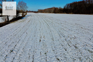 Działka na sprzedaż 11266m2 ropczycko-sędziszowski Sędziszów Małopolski Borek Wielki - zdjęcie 3