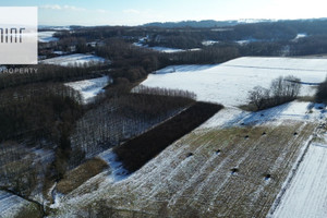 Działka na sprzedaż 11374m2 dębicki Pilzno Łęki Dolne - zdjęcie 3